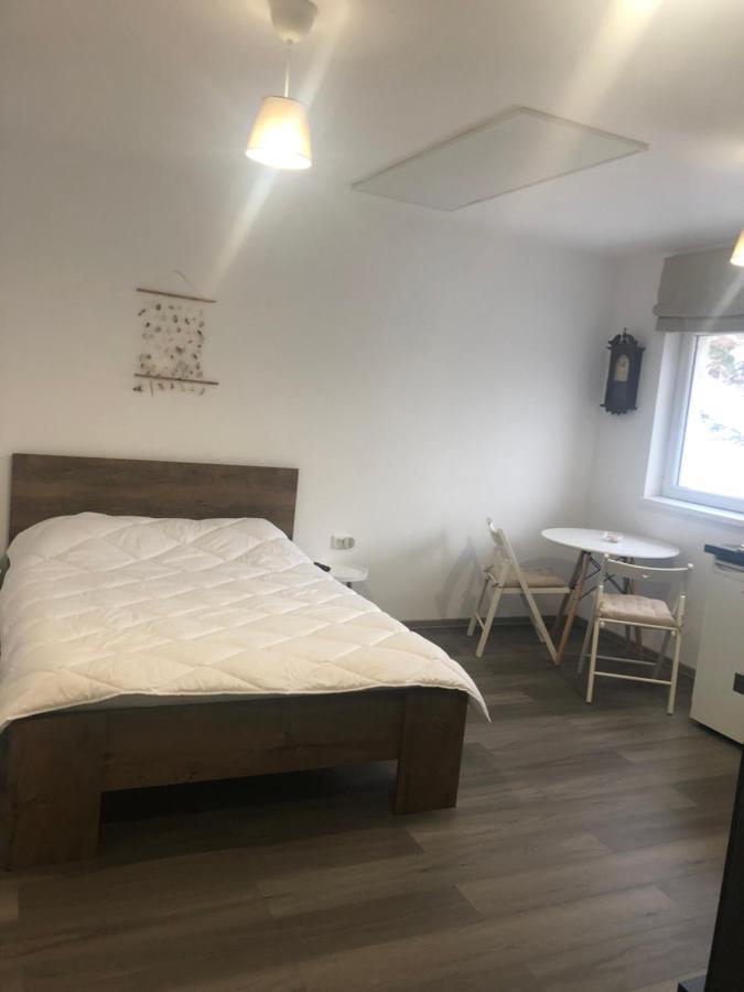 Appartement Garsoniera La Munte à Azuga Extérieur photo