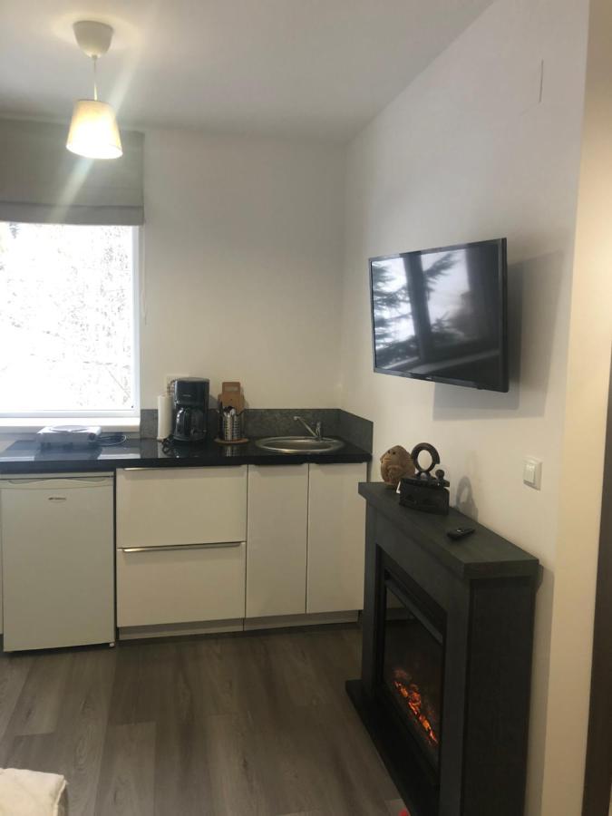 Appartement Garsoniera La Munte à Azuga Extérieur photo